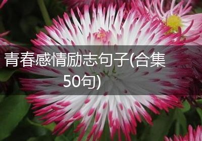 青春感情励志句子(合集50句)