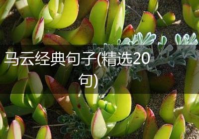 马云经典句子(精选20句)