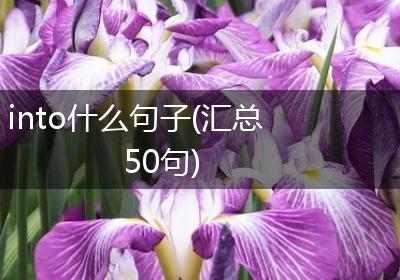 into什么句子(汇总50句)