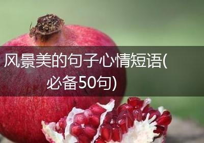风景美的句子心情短语(必备50句)