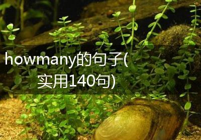 howmany的句子(实用140句)
