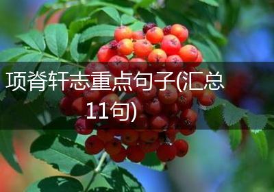 项脊轩志重点句子(汇总11句)