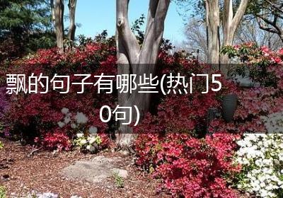 飘的句子有哪些(热门50句)
