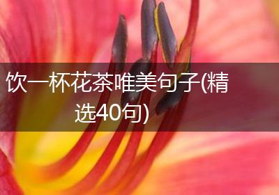 饮一杯花茶唯美句子(精选40句)