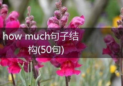 how much句子结构(50句)