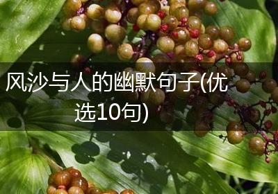 风沙与人的幽默句子(优选10句)
