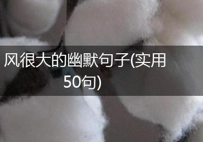 风很大的幽默句子(实用50句)