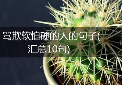 骂欺软怕硬的人的句子(汇总10句)