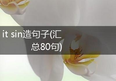 it sin造句子(汇总80句)