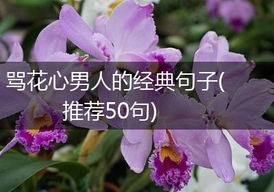 骂花心男人的经典句子(推荐50句)