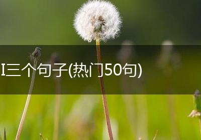 I三个句子(热门50句)