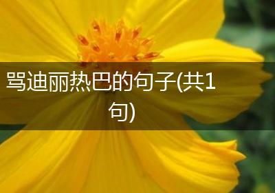 骂迪丽热巴的句子(共1句)