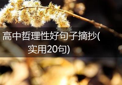 高中哲理性好句子摘抄(实用20句)
