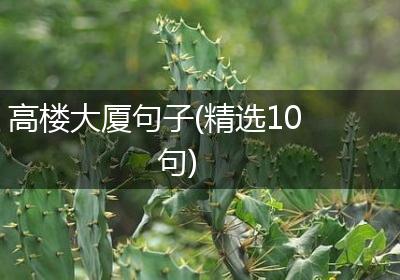 高楼大厦句子(精选10句)
