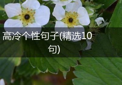 高冷个性句子(精选10句)