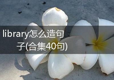 library怎么造句子(合集40句)