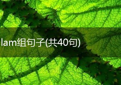 lam组句子(共40句)