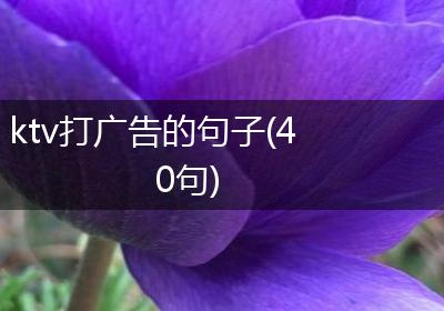 ktv打广告的句子(40句)