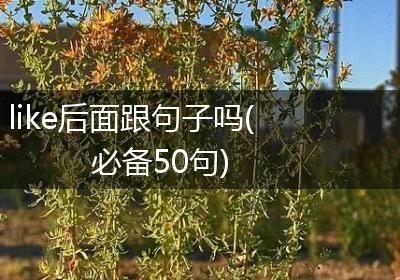 like后面跟句子吗(必备50句)