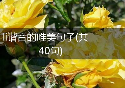 li谐音的唯美句子(共40句)