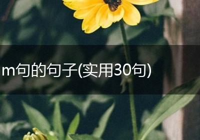 m句的句子(实用30句)