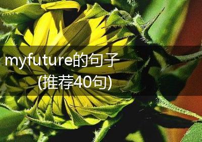 myfuture的句子(推荐40句)