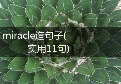 miracle造句子(实用11句)