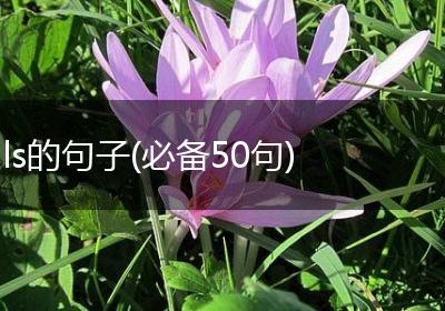 ls的句子(必备50句)