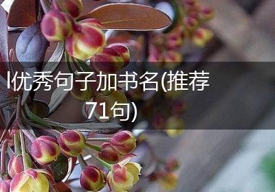 l优秀句子加书名(推荐71句)