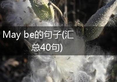 May be的句子(汇总40句)