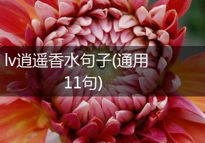 lv逍遥香水句子(通用11句)
