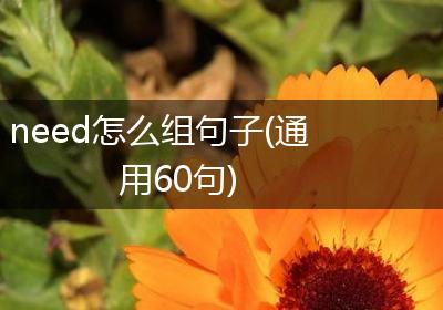 need怎么组句子(通用60句)