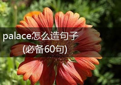 palace怎么造句子(必备60句)