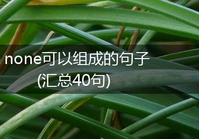 none可以组成的句子(汇总40句)