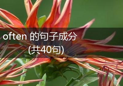 often 的句子成分(共40句)