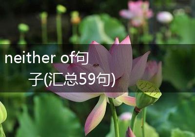neither of句子(汇总59句)