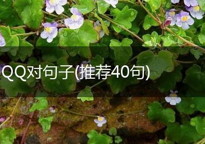 QQ对句子(推荐40句)