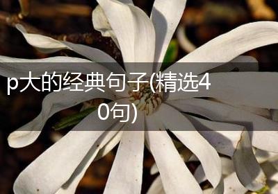 p大的经典句子(精选40句)