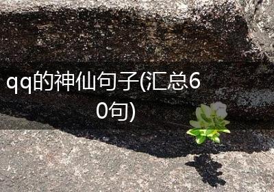 qq的神仙句子(汇总60句)