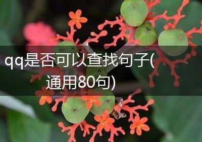 qq是否可以查找句子(通用80句)