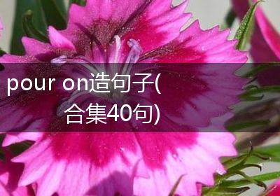 pour on造句子(合集40句)