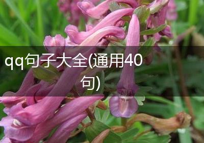 qq句子大全(通用40句)