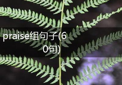 praise组句子(60句)
