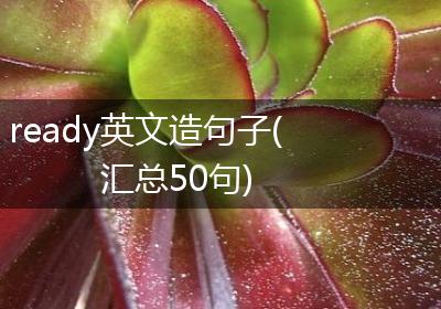 ready英文造句子(汇总50句)