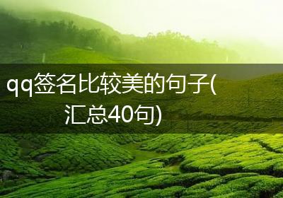 qq签名比较美的句子(汇总40句)