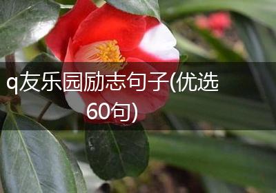 q友乐园励志句子(优选60句)