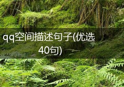 qq空间描述句子(优选40句)
