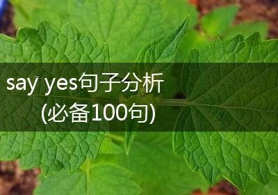 say yes句子分析(必备100句)
