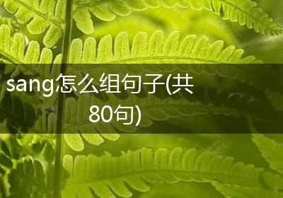sang怎么组句子(共80句)