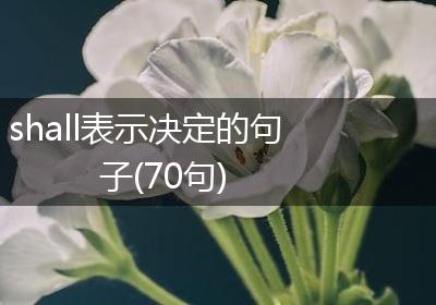 shall表示决定的句子(70句)